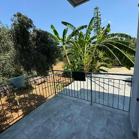 Alexander Appartement *