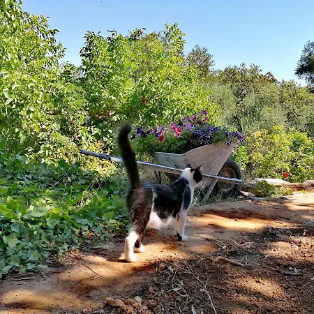 Appartement Alexander *