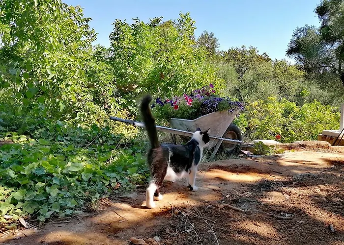 Appartamento Alexander *